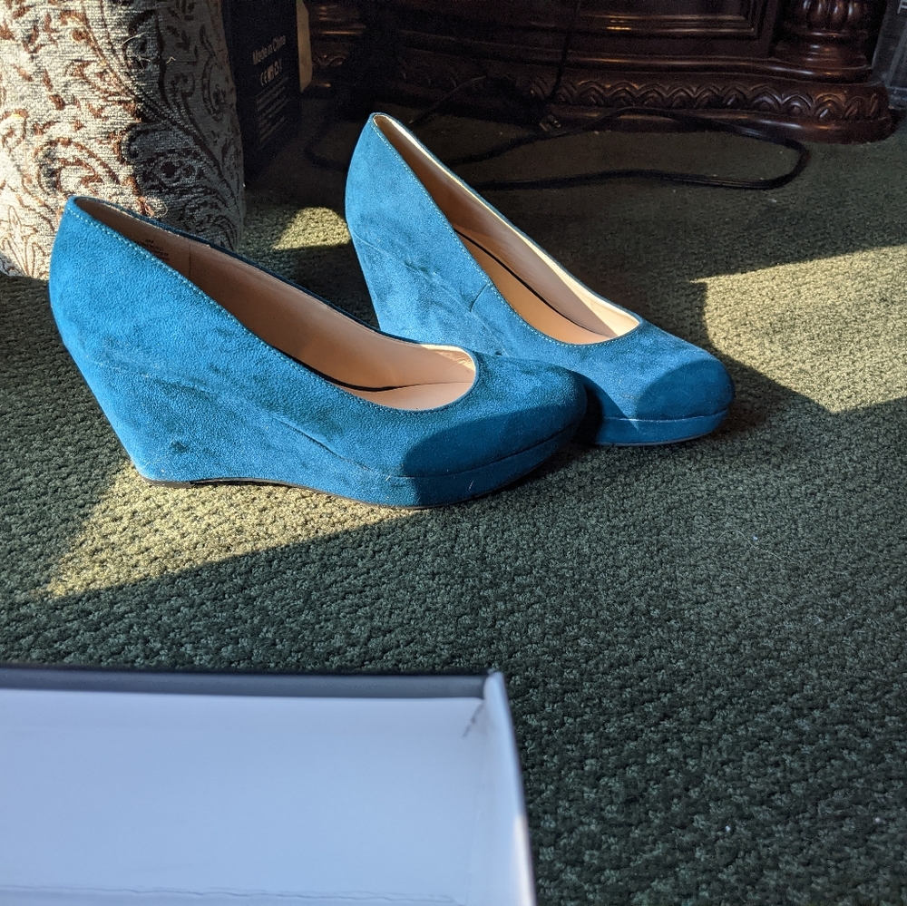 Teal wedges